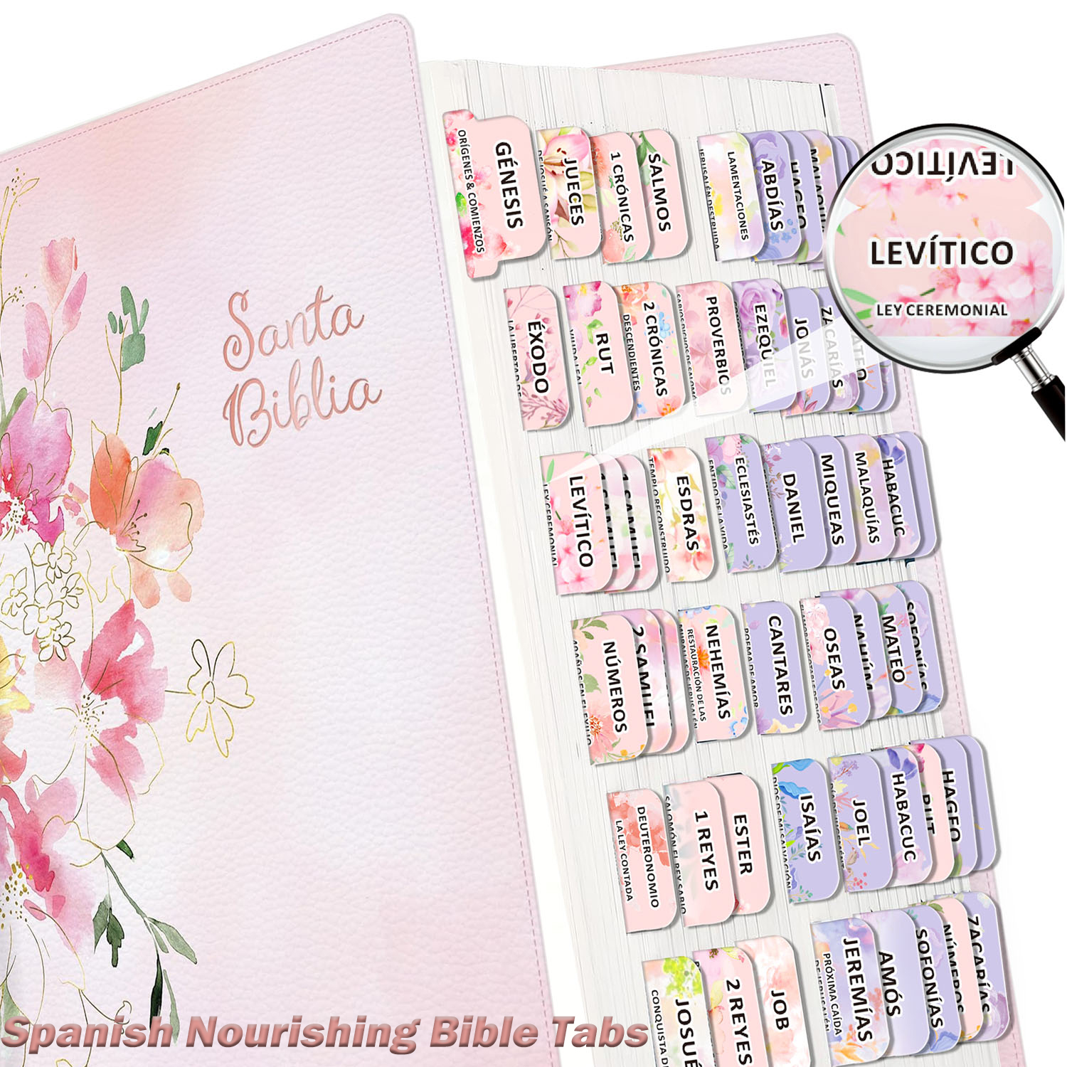 80pcs Spanish Bible Tabs-Soul  - Index Tab Divider review and price