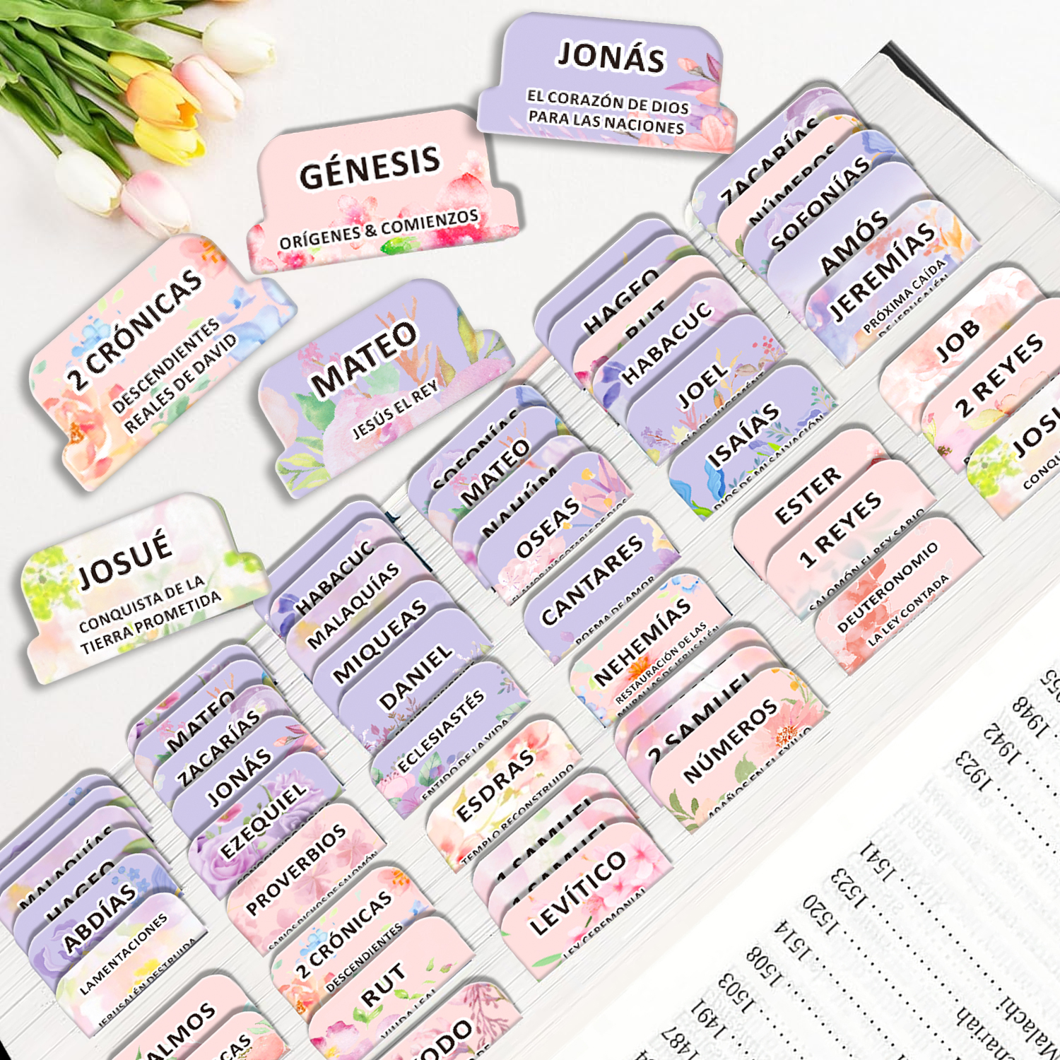 80pcs Spanish Bible Tabs-Soul  - Index Tab Divider review and price