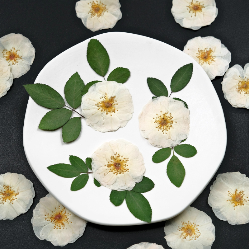 6pcs,9pcs,Nature White Rose Pr - Wax Seal Stamp Kit review and price