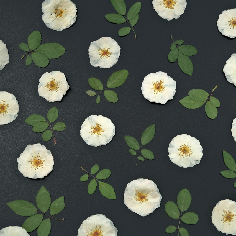 6pcs,9pcs,Nature White Rose Pr - Wax Seal Stamp Kit review and price