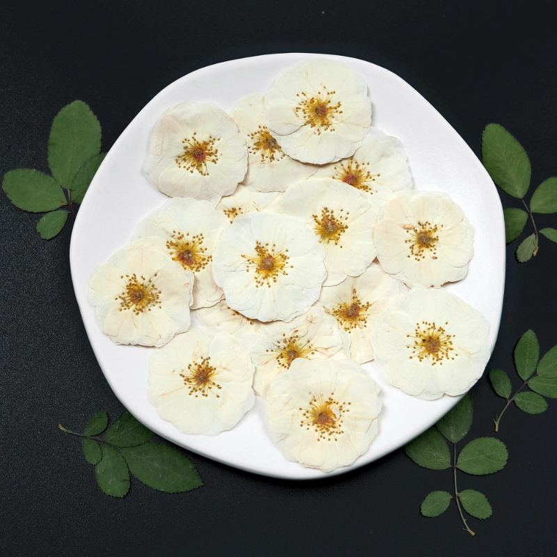 6pcs,9pcs,Nature White Rose Pr - Wax Seal Stamp Kit review and price